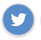 Twitter Icon2